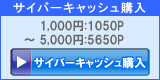 サイバーキャッシュ購入