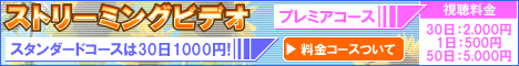 ストリーミングビデオ