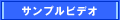 サンプルビデオ