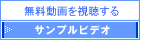 サンプルビデオ