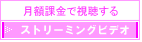 ストリーミングビデオ